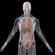Illustration for article titled Scientists raise the alarm on human enhancement technologies